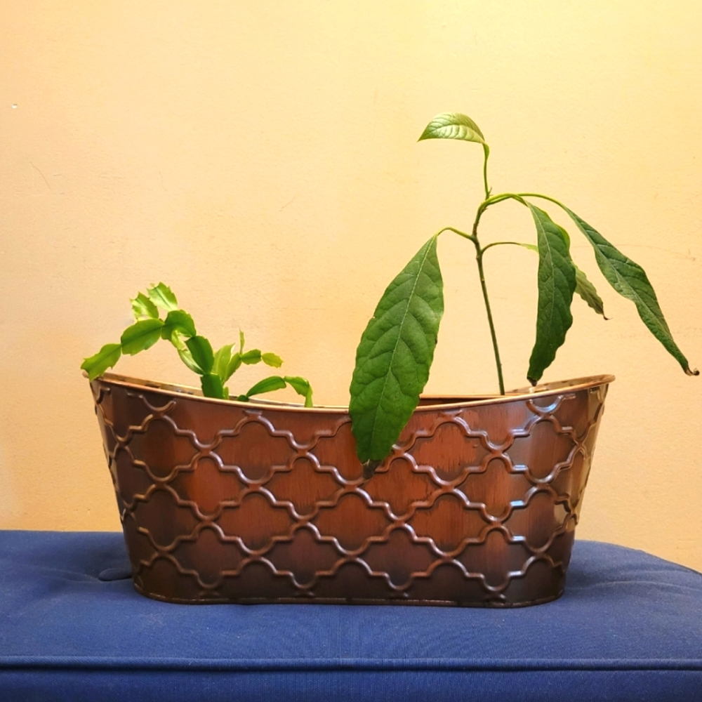 Metal planter tub